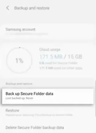 backup-secure-folder1